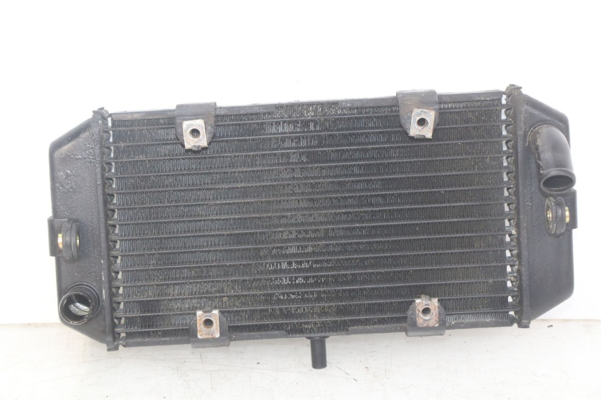 photo de RADIATOR YAMAHA YP MAJESTY 400 (2004 - 2008) - Zoom on usage condition