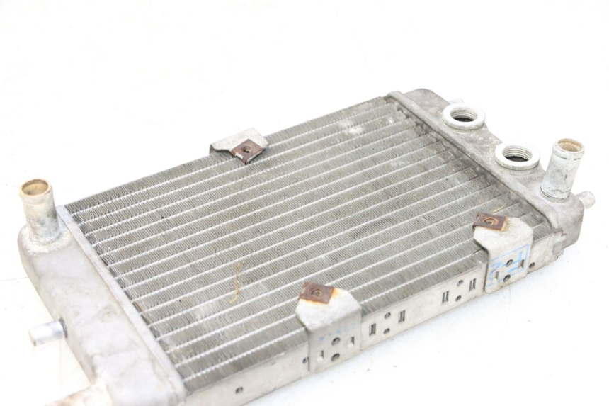 photo de RADIATOR YAMAHA YP MAJESTY 125 (2002 - 2006) - Zoom on usage condition