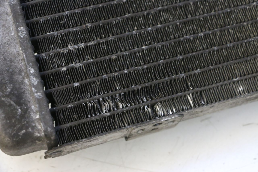 photo de RADIATOR YAMAHA YP MAJESTY 125 (1998 - 2001) - Zoom on usage condition