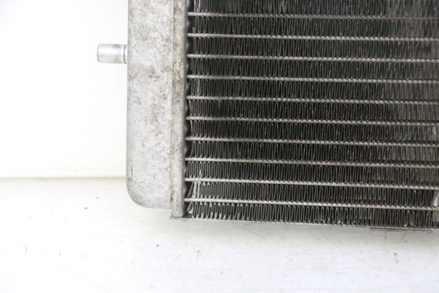 photo de RADIATOR YAMAHA YP MAJESTY 125 (2002 - 2006) - Zoom on usage condition