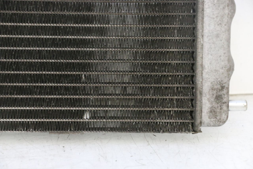 photo de RADIATOR YAMAHA YP MAJESTY 125 (2002 - 2006) - Alternative perspective
