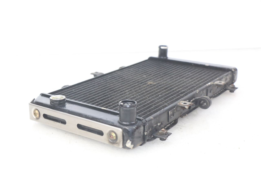 photo de RADIATOR KAWASAKI Z S 750 (2003 - 2006) - Alternative perspective