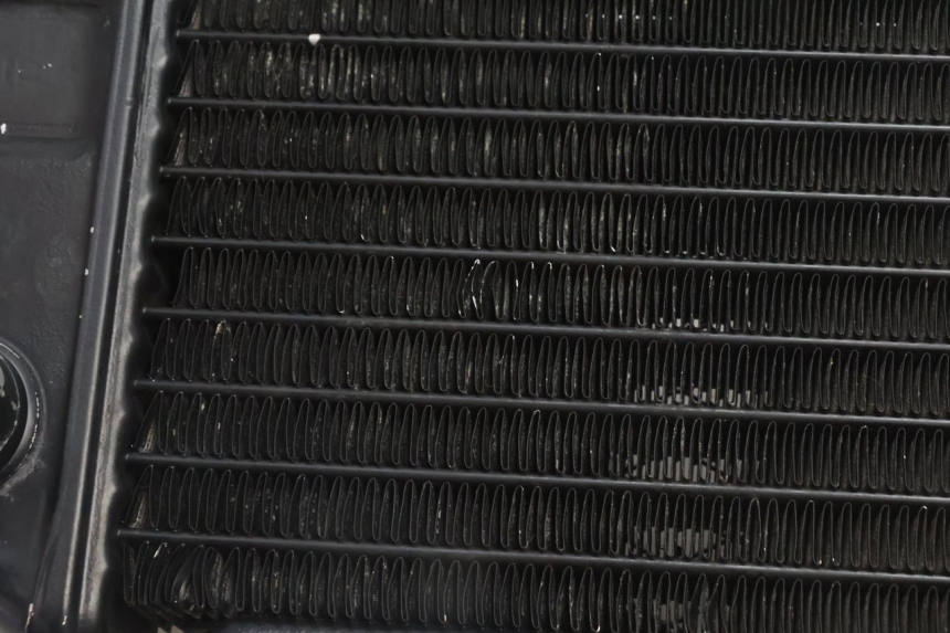 photo de RADIATOR KAWASAKI ZZR 600 (1995 - 2004) - Alternative perspective