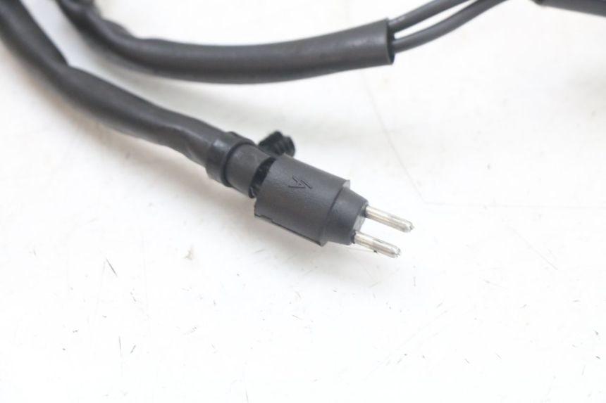 photo de REGULATOR HARLEY DAVIDSON SPORTSTER XL CUSTOM 883 (1999 - 2006) - Alternative perspective