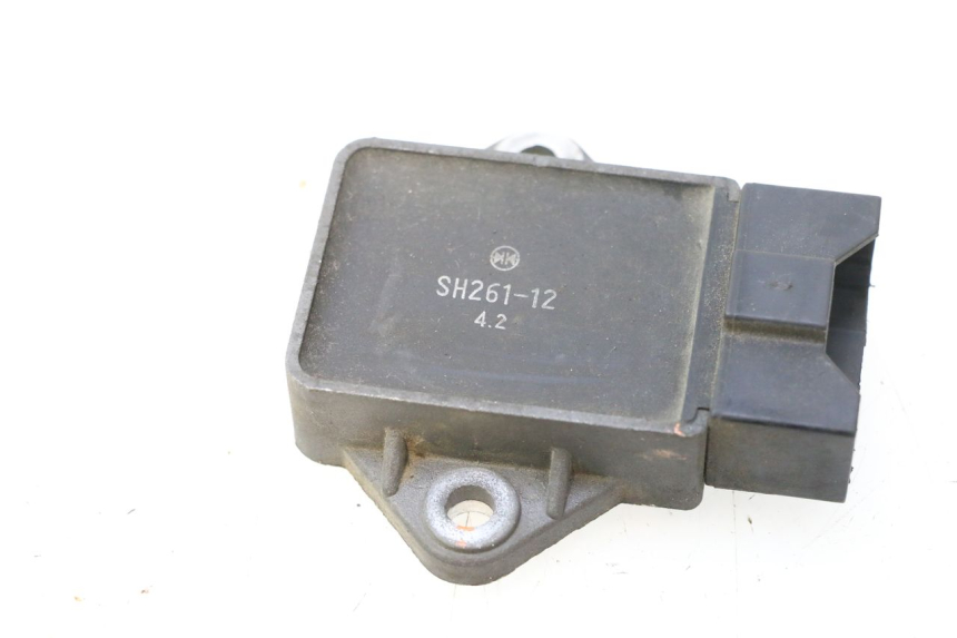 photo de REGULATOR HONDA ST PAN EUROPEAN 1100 (1990 - 2002) - Alternative perspective