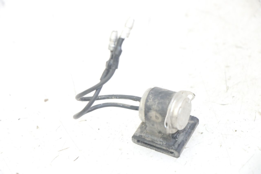 photo de RELAY YAMAHA XJN DIVERSION 600 (2000 - 2003) - Main view