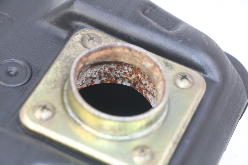 photo de FUEL TANK PGO BIG MAX 50 (2001 - 2009) - Product overview