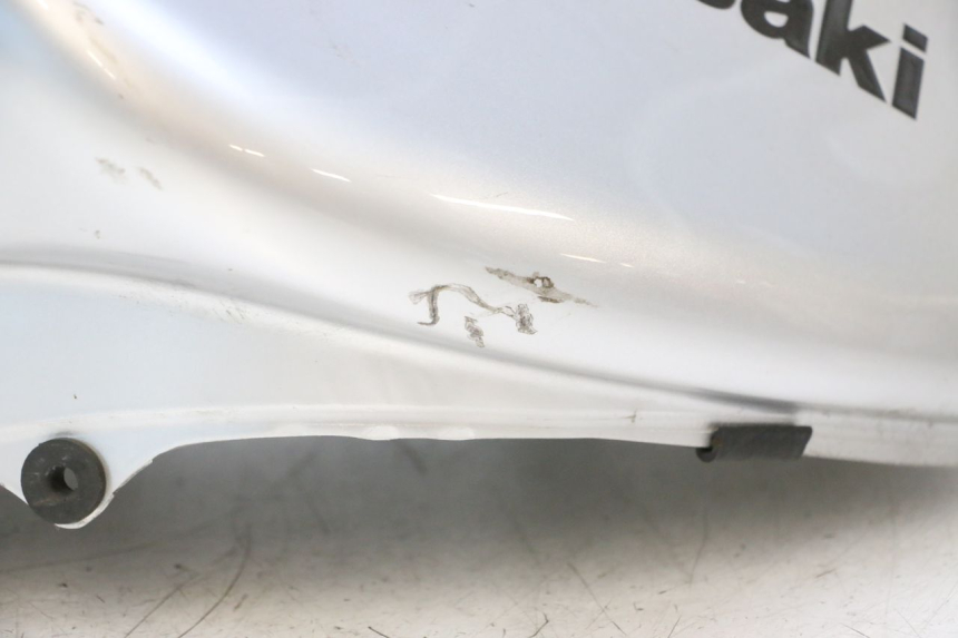 photo de FUEL TANK KAWASAKI ER-6 ER6 N 650 (2005 - 2009) - Focus on structure