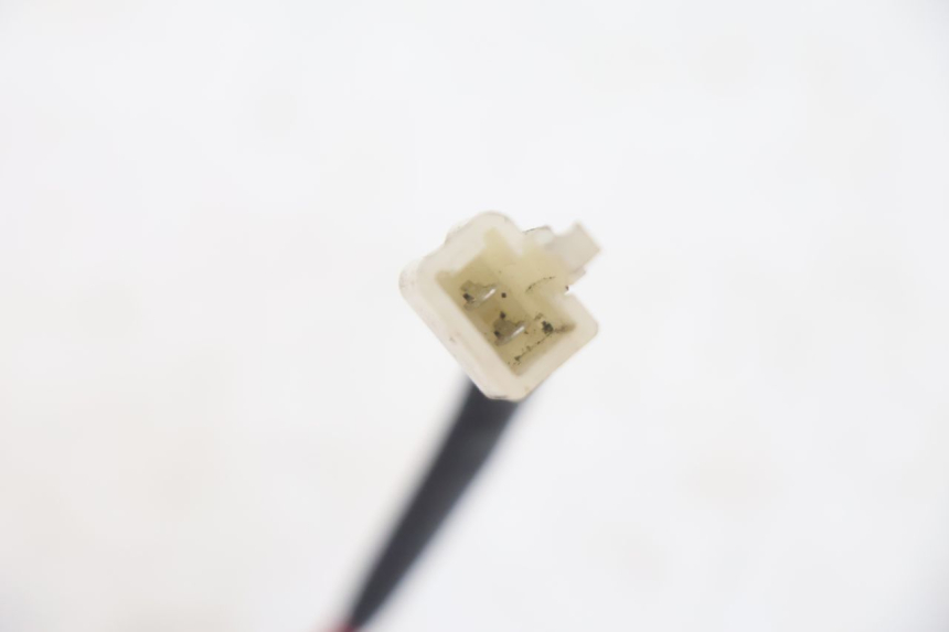photo de RESISTOR LAZIO RENO 50 (2016 - 2021) - Alternative perspective