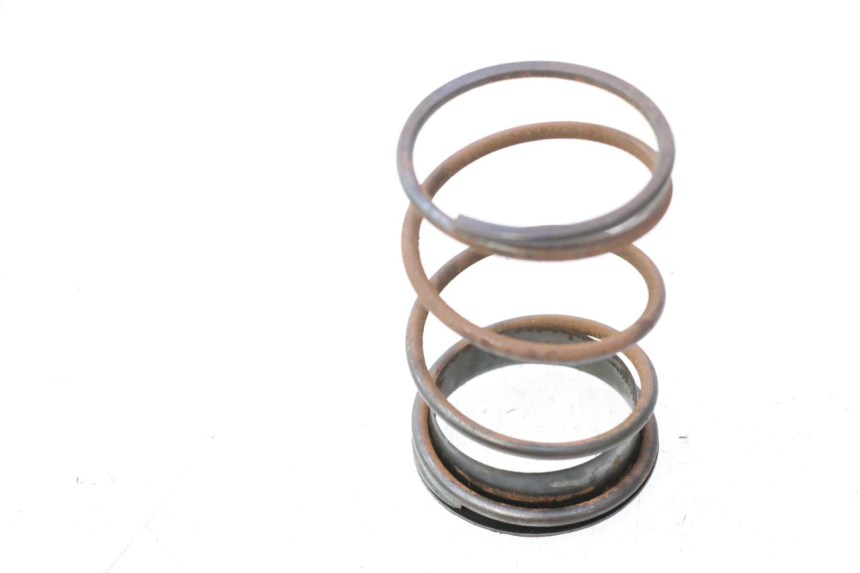 photo de CLUTCH SPRING JM MOTORS OLDIES 4T 50 (2020 - 2026) - Component detail