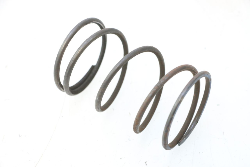 photo de CLUTCH SPRING JM MOTORS SANTANA 50 (2014 - 2023) - Main view