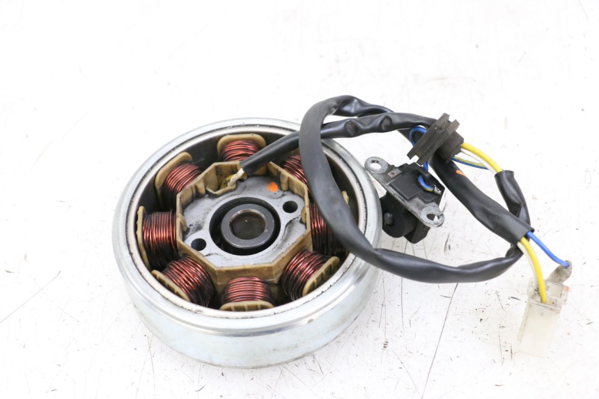 photo de ROTOR STATOR LONGJIA DIGITA 4T 50 (2019 - 2022) - Component detail