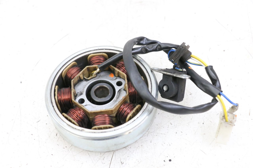 photo de ROTOR STATOR LONGJIA DIGITA 4T 50 (2019 - 2022) - Zoom on usage condition