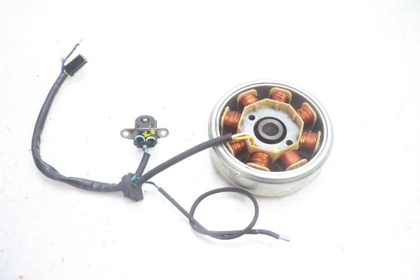 photo de ROTOR STATOR JM MOTORS EVOLIS 4T 50 (2018 - 2022) - Zoom on usage condition