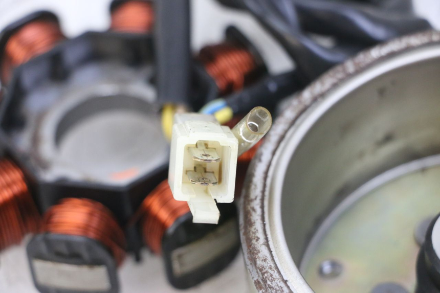 photo de ROTOR STATOR GOES WIKI 125 (2010 - 2015) - Alternative perspective