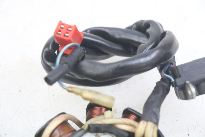 photo de ROTOR STATOR REVATTO IMPERATOR 125 (2007 - 2015) - Technical close-up