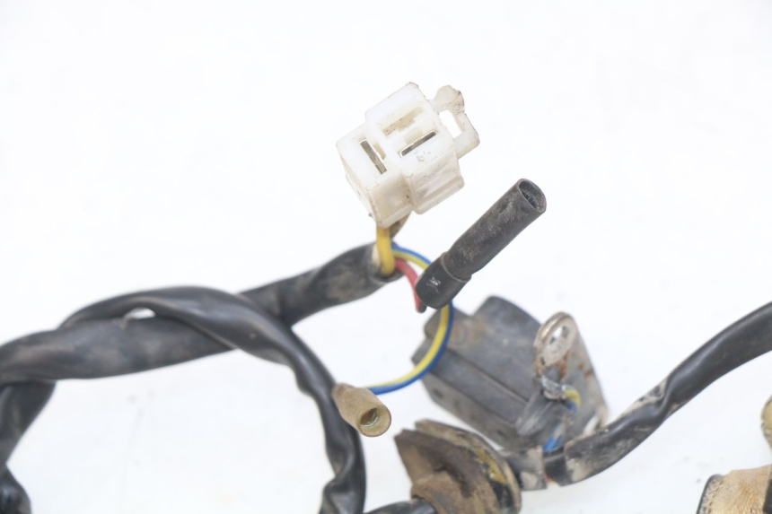 photo de ROTOR STATOR JM MOTORS OLDIES 4T 50 (2010 - 2020) - Zoom on usage condition