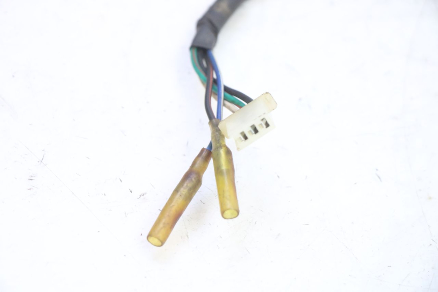 photo de ROTOR STATOR IMF INDUSTRIE PACH 2T 50 (2009 - 2018) - Additional view of the item