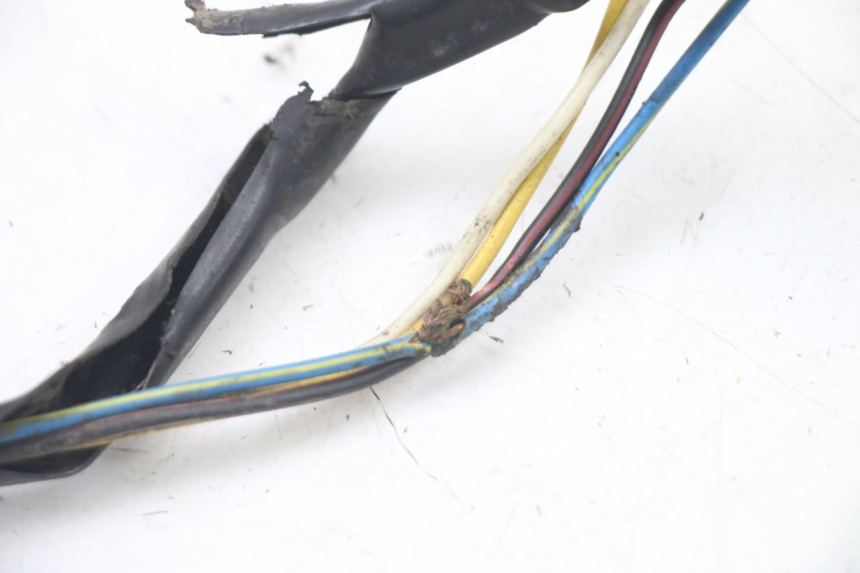 photo de ROTOR STATOR PEUGEOT TKR TREKKER FURIOUS 50 (2005 - 2014) - Component zoom