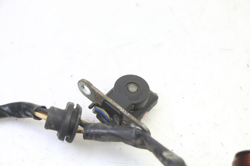 photo de ROTOR STATOR PGO RODOSHOW 2T 50 (2003 - 2007) - Product overview