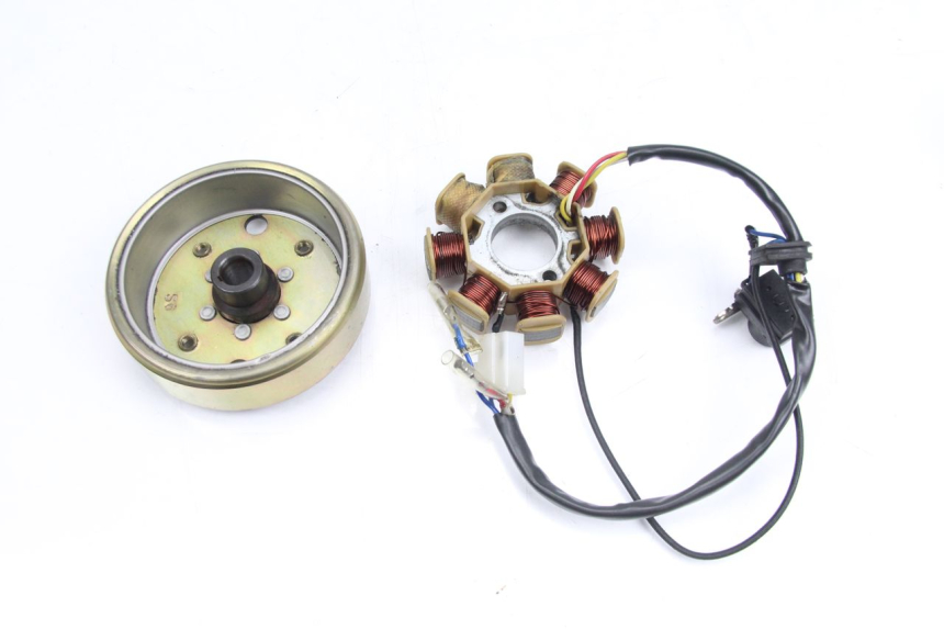 photo de ROTOR STATOR TNT MOTOR ROMA 10' 4T 50 (2007 - 2018) - Zoom on usage condition