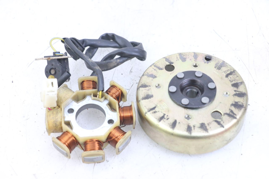 photo de ROTOR STATOR TNT MOTOR ROMA 10' 4T 50 (2007 - 2018) - Zoom on usage condition