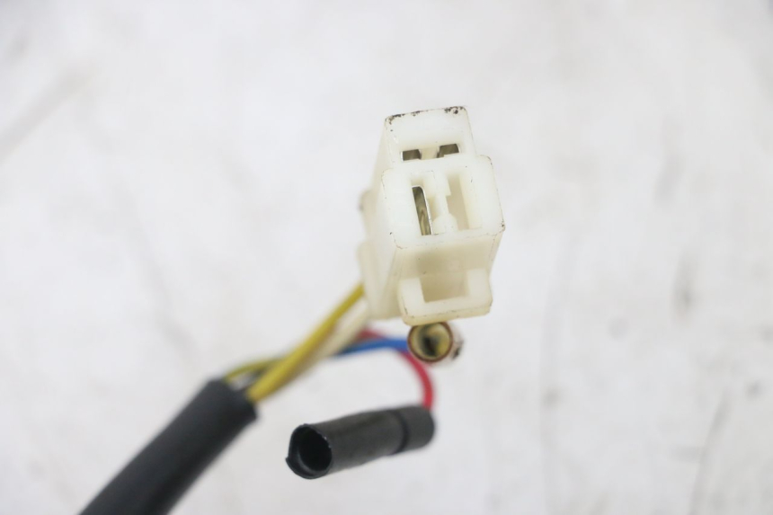 photo de ROTOR STATOR TNT MOTOR ROMA 10' 4T 50 (2007 - 2018) - Alternative perspective