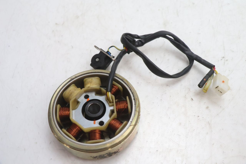 photo de ROTOR STATOR TNT MOTOR ROMA 10' 4T 50 (2007 - 2018) - Alternative perspective