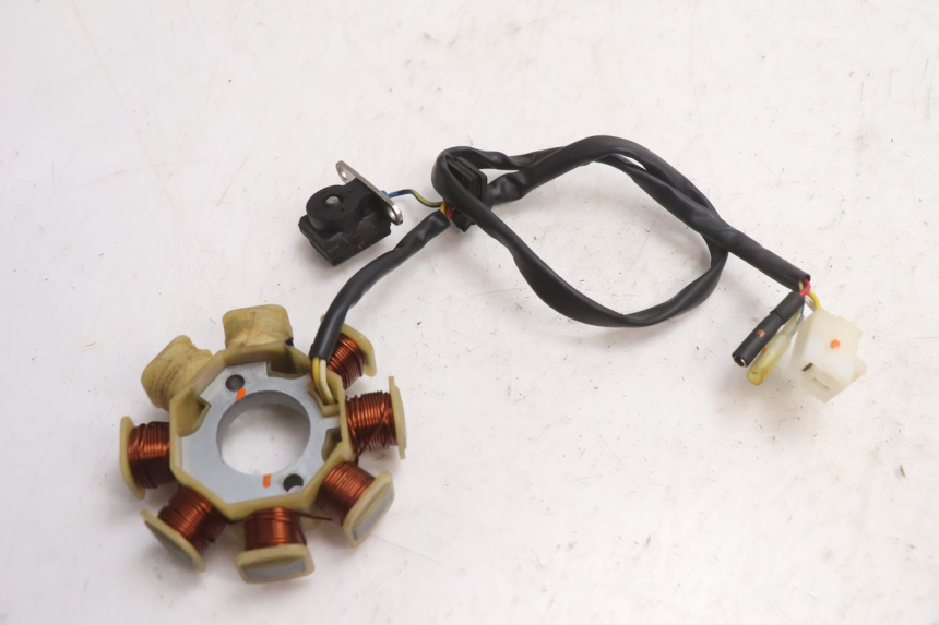 photo de ROTOR STATOR TNT MOTOR ROMA 10' 4T 50 (2007 - 2018) - Technical close-up