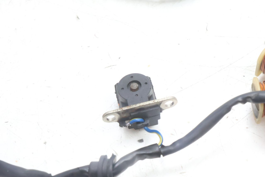 photo de ROTOR STATOR TNT MOTOR ROMA 10' 4T 50 (2007 - 2018) - Checked used part