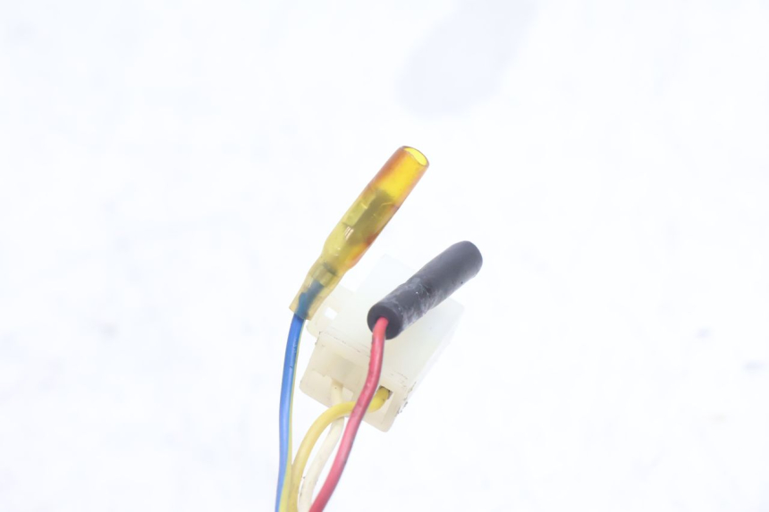 photo de ROTOR STATOR TNT MOTOR ROMA 10' 4T 50 (2007 - 2018) - Markings and original references