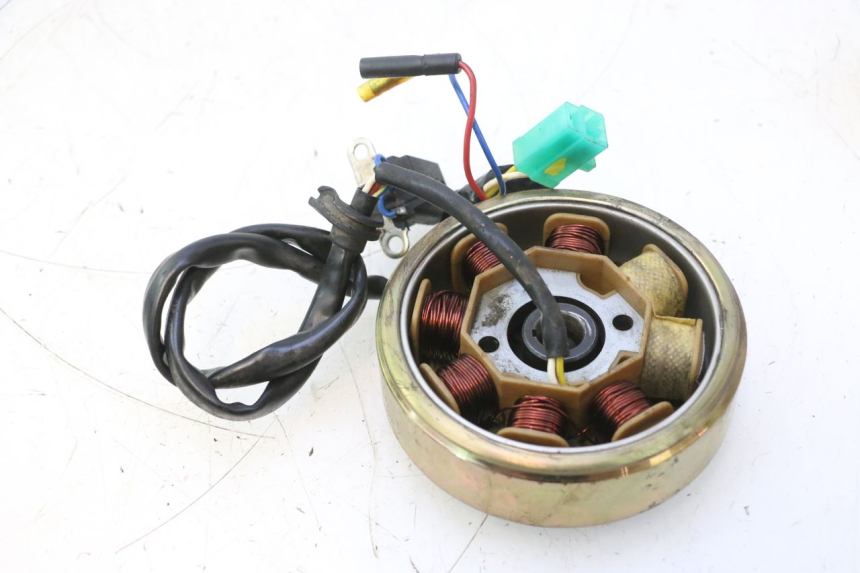 photo de ROTOR STATOR JM MOTORS SANTANA 50 (2014 - 2023) - Zoom on usage condition
