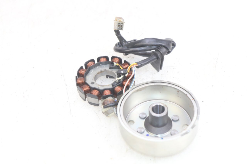 photo de ROTOR STATOR SHERCO SM-R 50 (2018 - 2021) - Zoom on usage condition