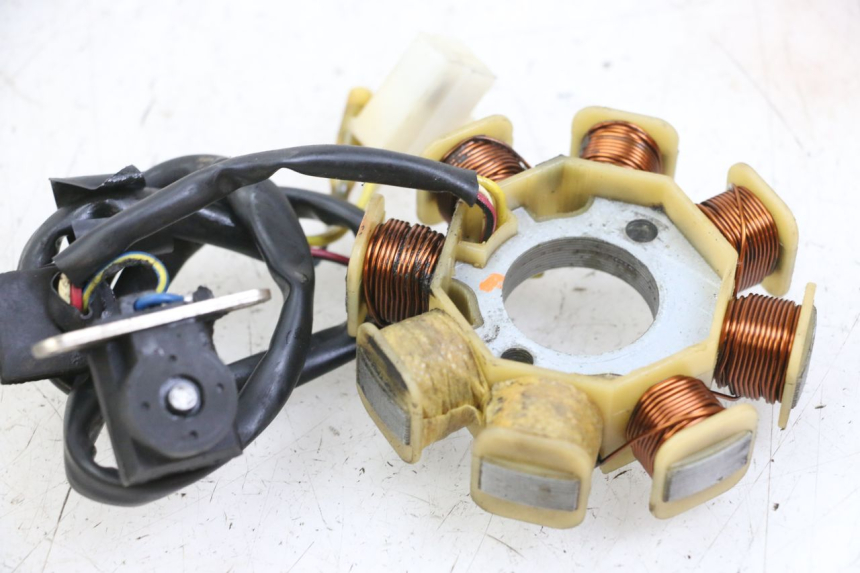 photo de ROTOR STATOR JM MOTORS SUNNY 50 (2017 - 2020) - Component detail