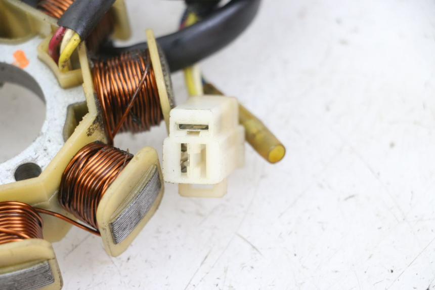 photo de ROTOR STATOR JM MOTORS SUNNY 50 (2017 - 2020) - Alternative perspective