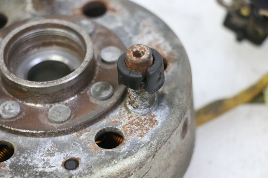 photo de ROTOR STATOR PIAGGIO X9 EVOLUTION 125 (2003 - 2007) - Alternative perspective