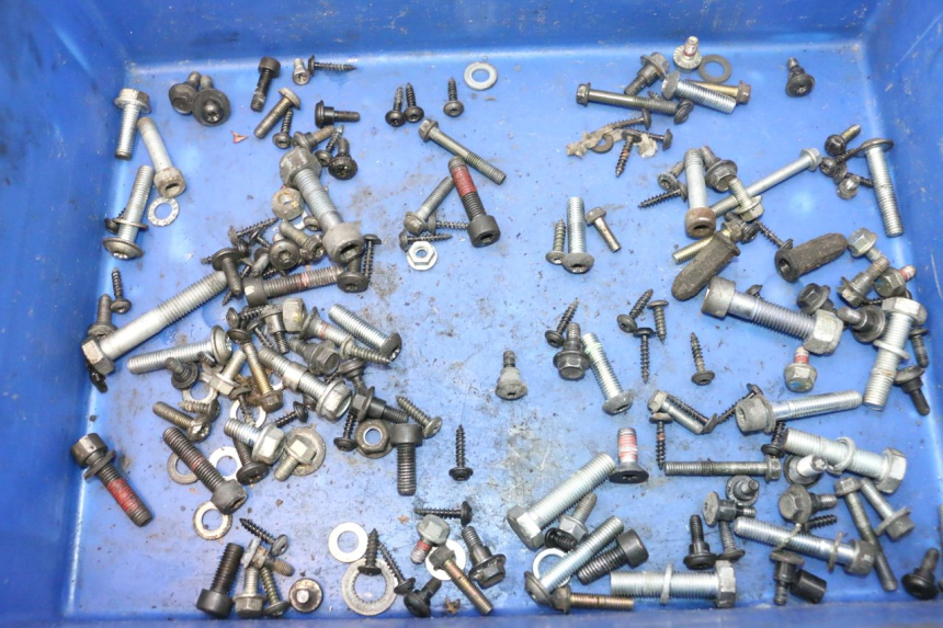 photo de SCREW BAG PEUGEOT CITYSTAR 2T 50 (2018 - 2021) - Main view