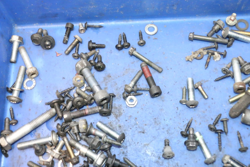 photo de SCREW BAG PEUGEOT CITYSTAR 2T 50 (2018 - 2021) - Zoom on usage condition