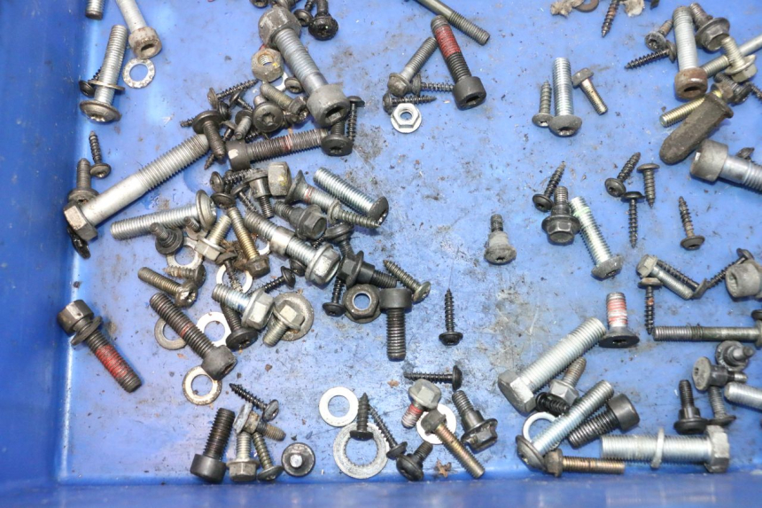 photo de SCREW BAG PEUGEOT CITYSTAR 2T 50 (2018 - 2021) - Alternative perspective