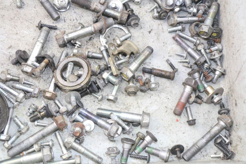 photo de SCREW FASTENER BAG HONDA FES PANTHEON 125 (2003 - 2007) - Zoom on usage condition