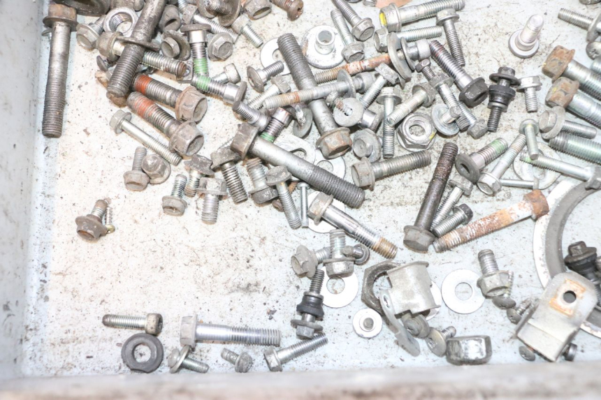 photo de SCREW FASTENER BAG HONDA FES PANTHEON 125 (2003 - 2007) - Alternative perspective