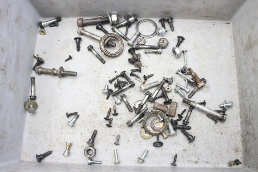 photo de SCREW BAG PIAGGIO FLY 2T 50 (2004 - 2017) - Main view