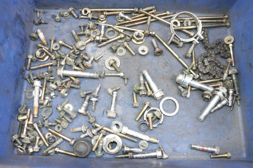 photo de SCREWS BAG GOES WIKI 125 (2010 - 2015) - Main view