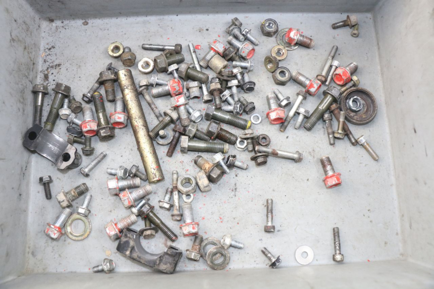 photo de SCREWS BAG ADLY RS SUPERSONIC 50 (2005 - 2010) - Main view