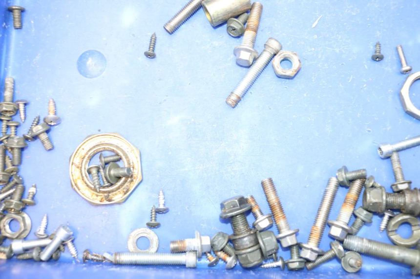 photo de SCREWS BAG BAIKU SAKURA 1 (2021 - 2025) - Zoom on usage condition