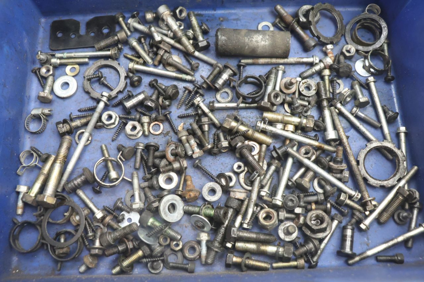 photo de SCREW FASTENER BAG PEUGEOT SATELIS 125 (2006 - 2009) - Main view