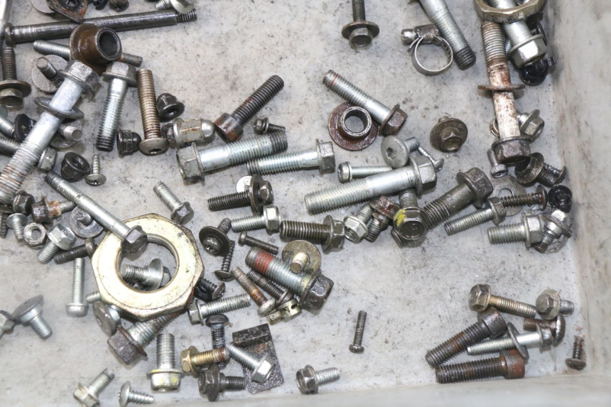 photo de SCREWS BAG HONDA SES DYLAN 125 (2002 - 2006) - Zoom on usage condition