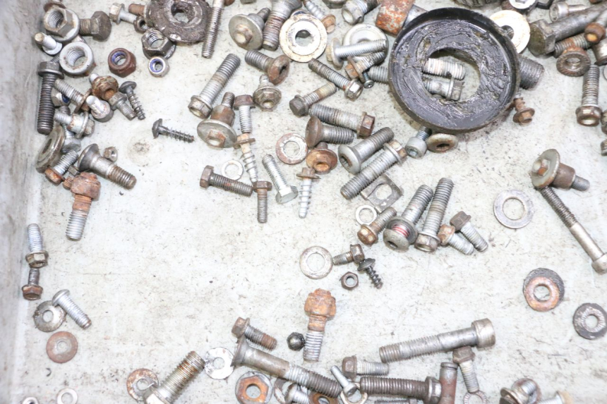 photo de SCREWS BAG KTM SUPERENDURO R 950 (2005 - 2009) - Alternative perspective