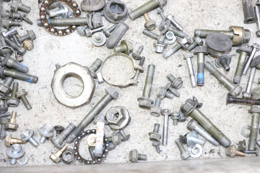 photo de SCREWS BAG PEUGEOT TWEET PRO CARGO 50 (2018 - 2022) - Zoom on usage condition