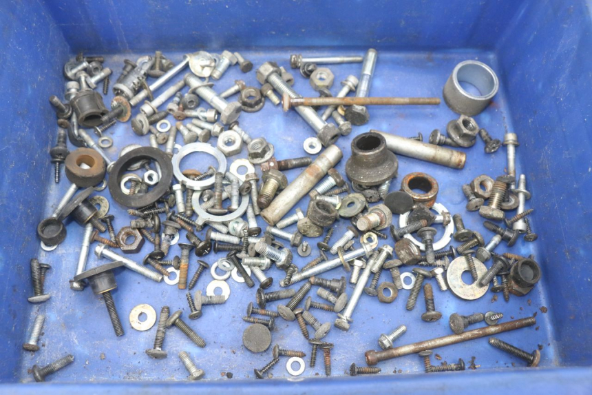 photo de SCREW BAG PIAGGIO X9 EVOLUTION 250 (2003 - 2007) - Main view